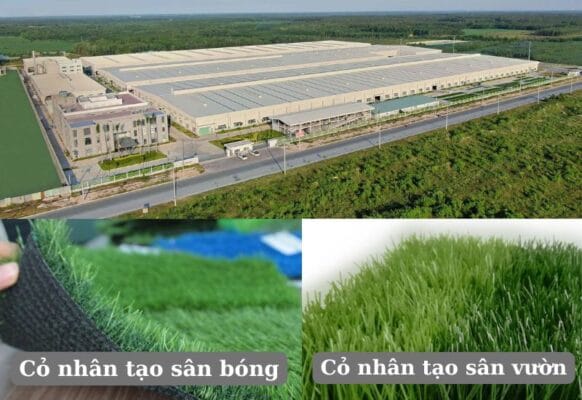 CCGRASS - Sản xuất cỏ nhân tạo hàng đầu