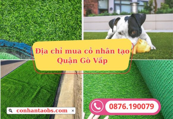 Địa chỉ mua thảm cỏ nhân tạo Quận Gò Vấp