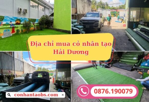 Địa chỉ bán thảm cỏ nhân tạo Hải Dương