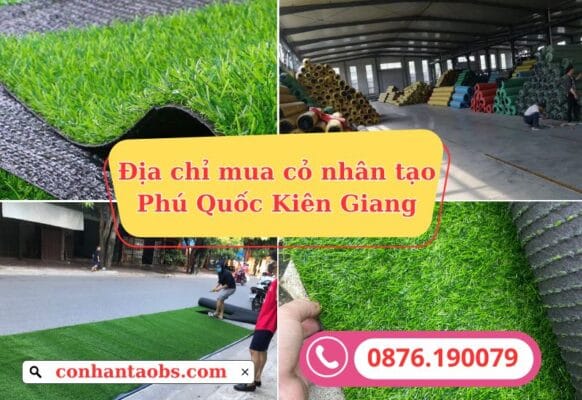 Địa chỉ mua thảm cỏ nhân tạo Phú Quốc Kiên Giang
