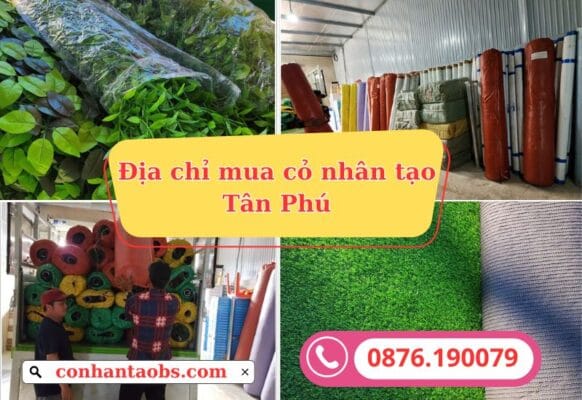 Địa chỉ mua thảm cỏ nhân tạo Quận Tân Phú