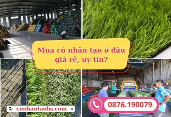 Mua thảm cỏ nhân tạo ở đâu giá rẻ