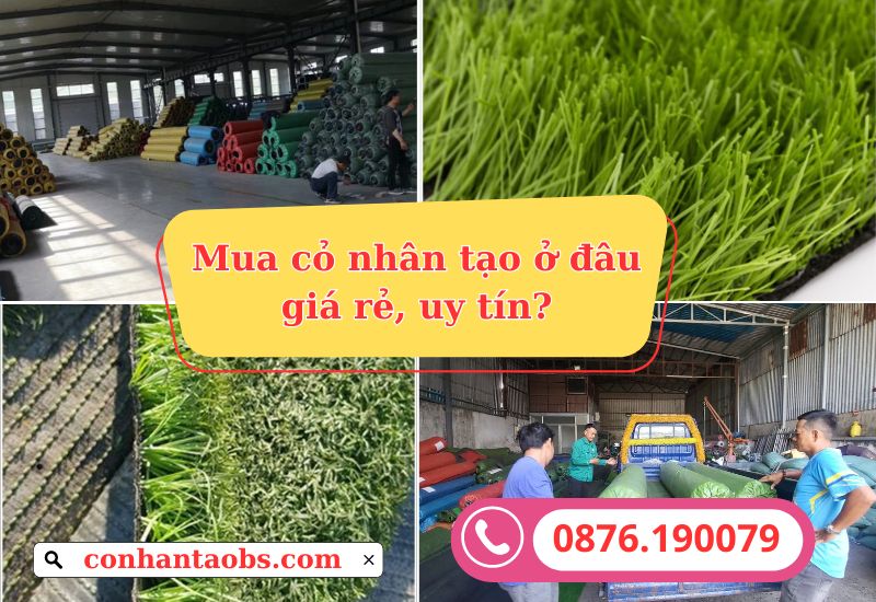 Mua thảm cỏ nhân tạo ở đâu giá rẻ