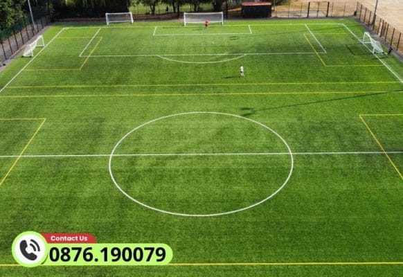 Lựa chọn dòng cỏ phù hợp với nhu cầu