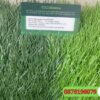 Cỏ nhân tạo sân bóng đá STEM- 5004B088-BL