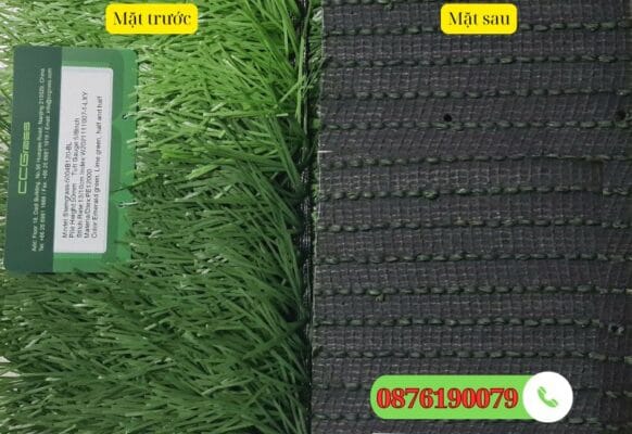 2 mặt của Stemgrass 5004BL120-Bl