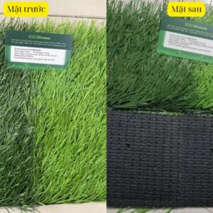 2 mặt của cỏ Diamond 5004B080 BL