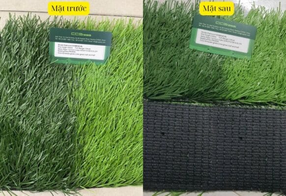 2 mặt của cỏ Diamond 5004B080 BL