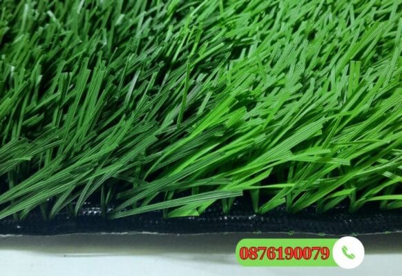 Mặt nhìn rõ về cỏ