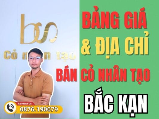Bảng giá và địa chỉ bán thảm cỏ nhân tạo Bắc Kạn