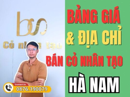 Bảng giá và địa chỉ mua thảm cỏ nhân tạo giá rẻ Hà Nam
