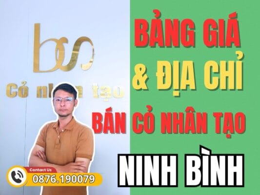 Bảng giá và địa chỉ bán cỏ nhân tạo Ninh Bình