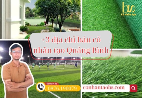Bảng giá và các kho cỏ nhân tạo Quảng Bình giá rẻ