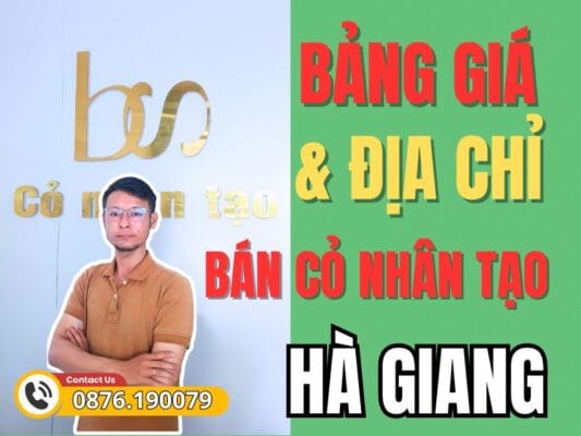 Bảng giá và địa chỉ bán cỏ nhân tạo Hà Giang