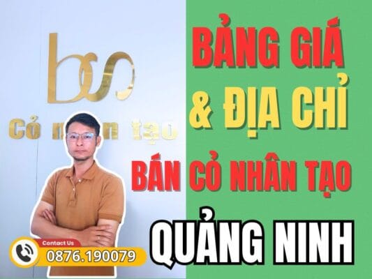 Bảng giá và địa chỉ bán cỏ nhân tạo Quảng Ninh