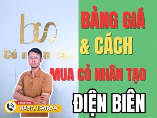 Bảng giá và địa chỉ bán cỏ nhân tạo Điện Biên