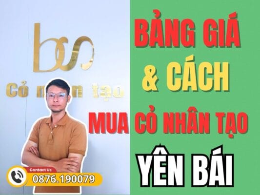 Cỏ nhân tạo Yên Bái - Địa chỉ bán giá rẻ