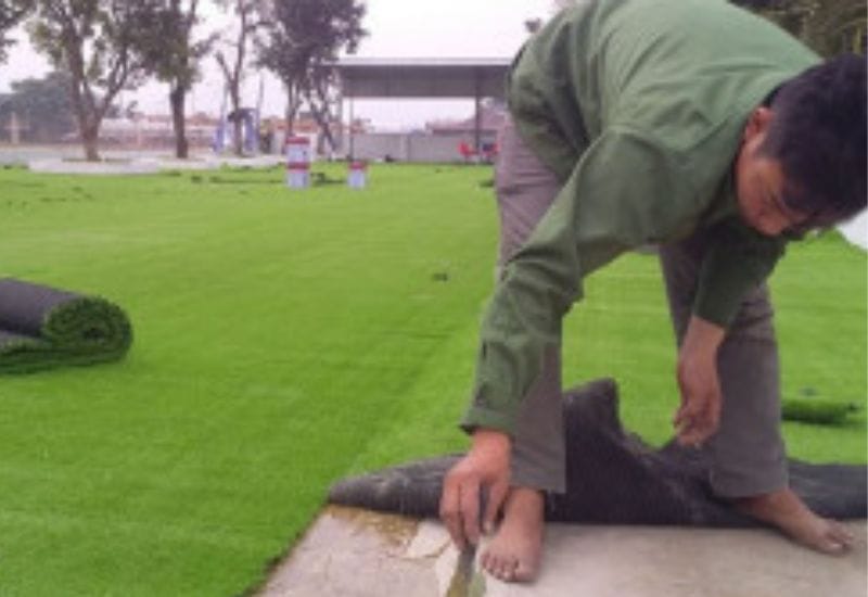 Thay thế cục bộ tại những tấm cỏ quá mòn