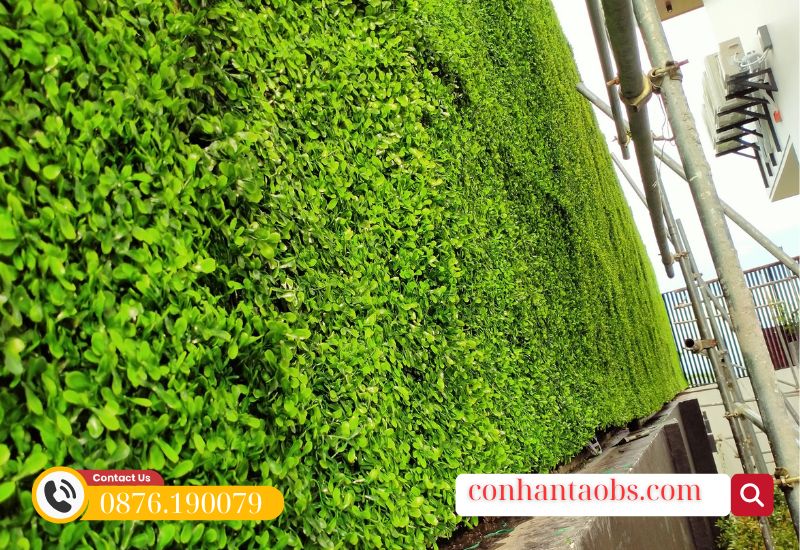 Tấm cỏ nhựa treo tường đẹp mắt