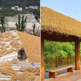 Hình ảnh thực tế mái rơm nhân tạo và mái tranh