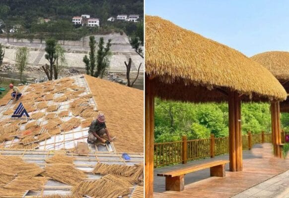 Hình ảnh thực tế mái rơm nhân tạo và mái tranh