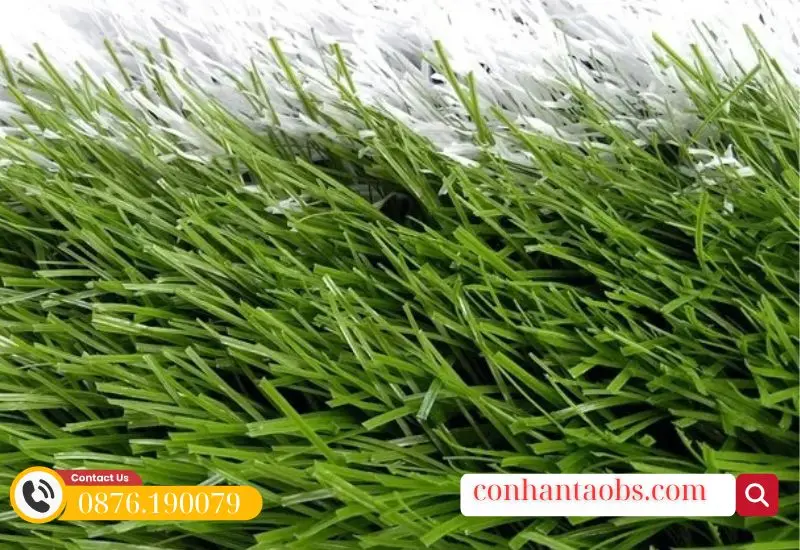 Thảm cỏ chuyên làm sân bóng CCGRASS