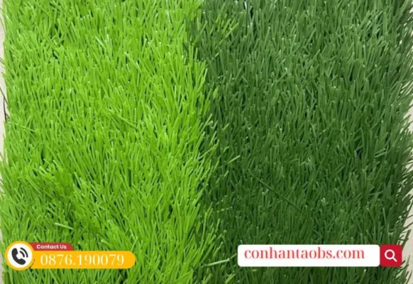 Thảm cỏ nhân tạo sân bóng đá