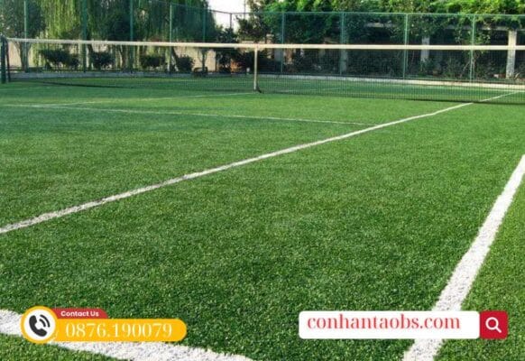 Mặt sân cỏ cho tenis