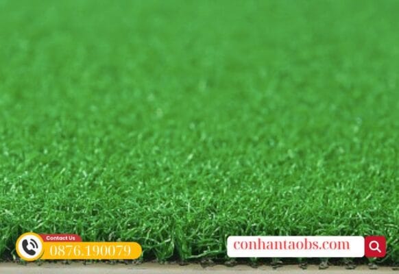 Mặt cỏ êm ái, tạo cảm giác thi đấu tốt