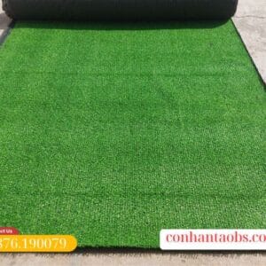 Màu sắc cỏ đẹp, tự nhiên