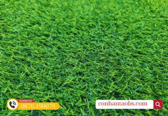 Màu xanh làm nổi bật khuôn viên cần trang trí