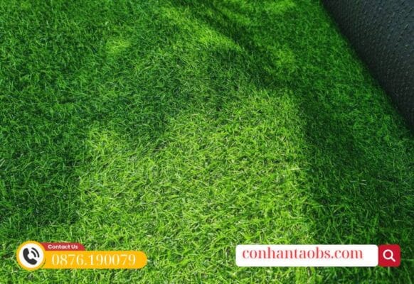Mặt cỏ xanh đều màu