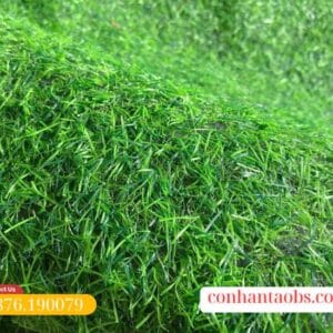 Chiều cao sợi cỏ 2cm