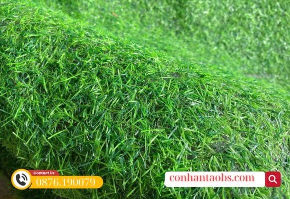 Chiều cao sợi cỏ 2cm