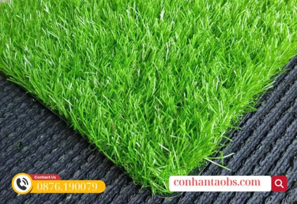 Thoát nước tốt, đế chắc chắn