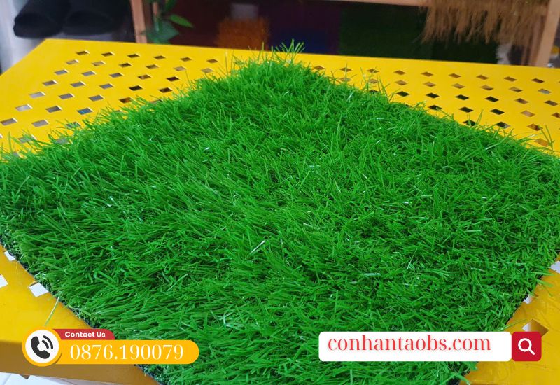 Mặt cỏ đồng đều màu Mặt cỏ đồng đều màu