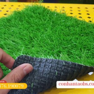 Cỏ dày dặn, êm ái