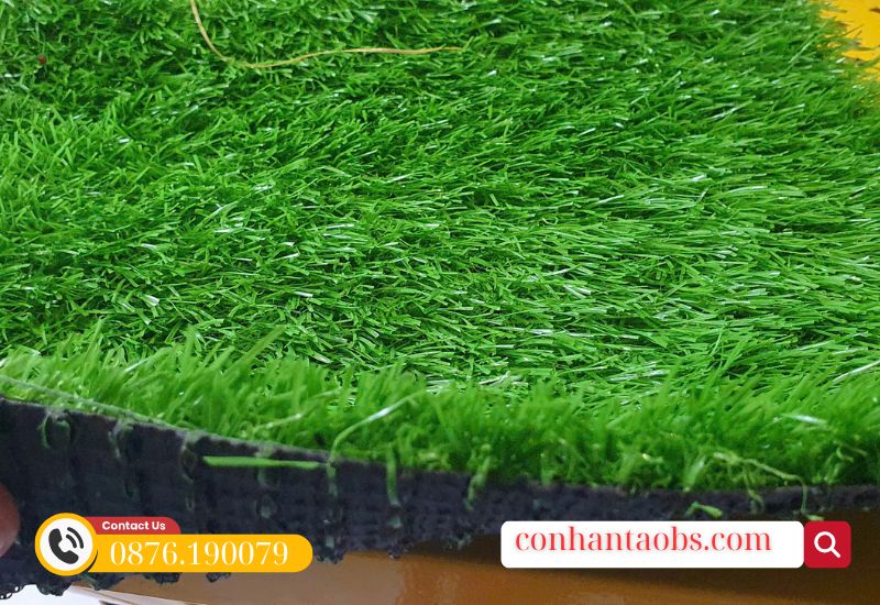 Cỏ đẹp, màu xanh non Cỏ đẹp, màu xanh non