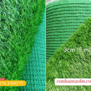 Cỏ cao cấp, chất lượng đế cải thiện