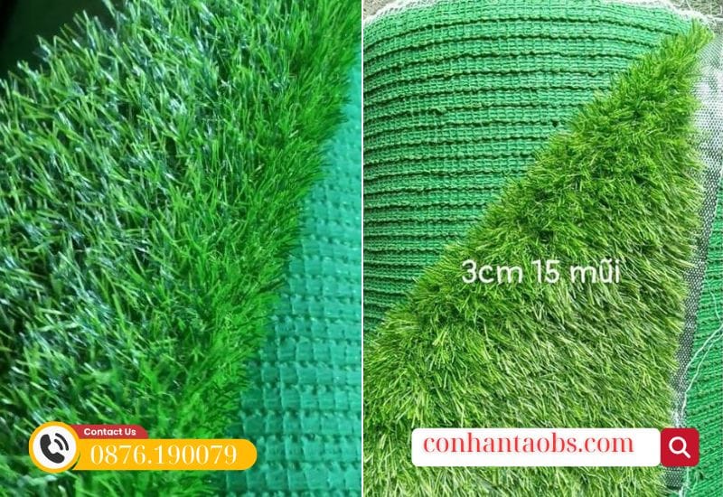 Cỏ cao cấp, chất lượng đế cải thiện Cỏ cao cấp, chất lượng đế cải thiện