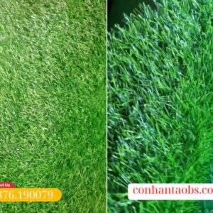 Bê mặt cỏ đều màu, mang lại độ tự nhiên cao
