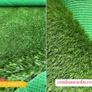 Cỏ có độ bền cao, chất lượng từ CCGRASS