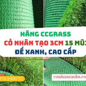 Thảm cỏ nhân tạo 3cm 150 mũi đế xanh CCGRASS