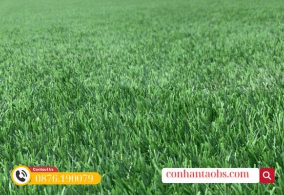 Mặt sân cỏ màu sắc xanh đậm