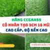 Thảm cỏ nhân tạo 3cm cao cấp CCGRASS