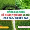 Thảm cỏ nhân tạo 3cm 180 mũi CCGRASS cao cấp