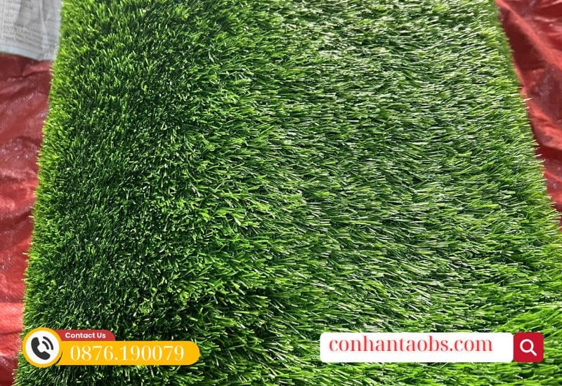 Cỏ đều, mịn cao cấp của CCGRASS