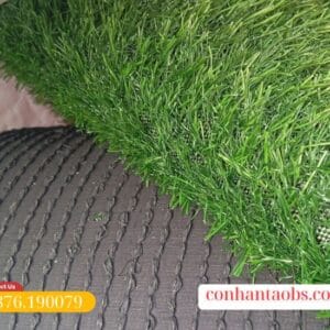 Thảm cỏ nhân tạo 2cm giá rẻ chất lượng tốt của CCGRASS