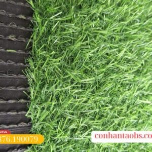 Mặt nhìn ngang của thảm cỏ