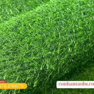 Màu sắc tự nhiên, đẹp mắt